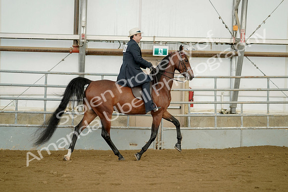 July 21, 2019 - 01828