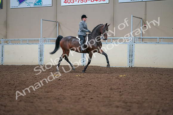 2019 Morgan Horse Show - Aug 30, 2019 - 20820