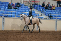 2020 - AB Morgan Horse - Sat, Sept 05 - 01183