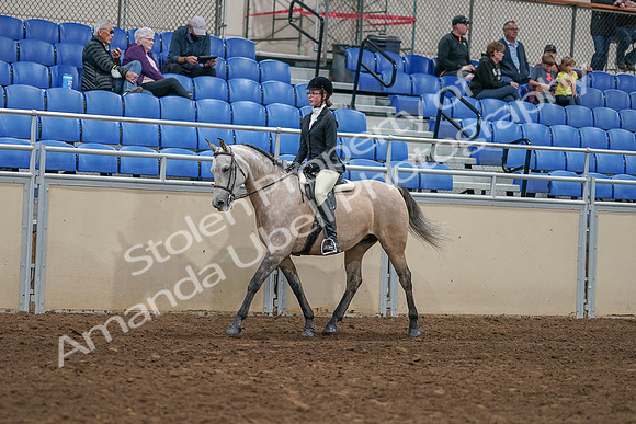 2020 - AB Morgan Horse - Sat, Sept 05 - 01183