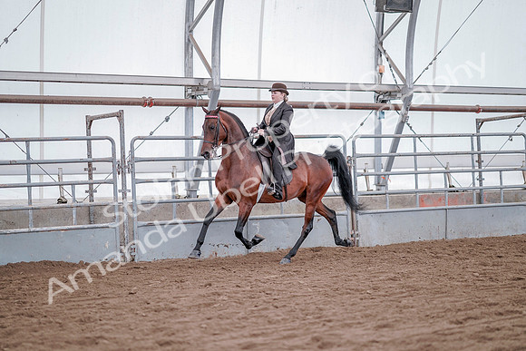 July 20, 2019 - 13780