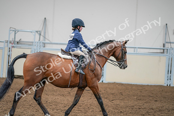 2020 - AB Morgan Horse - Sun, Sept 06 - 08103