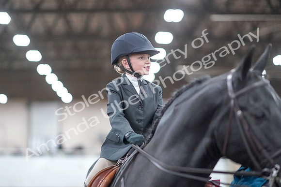 2019 Morgan Horse Show - Aug 31, 2019 - 19754