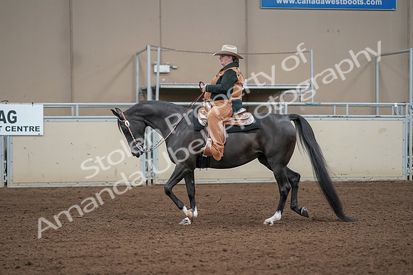 2019 Morgan Horse Show - Aug 31, 2019 - 06059