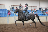 2019 Morgan Horse Show - Aug 30, 2019 - 28373