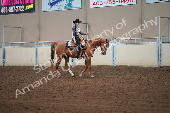 2019 Morgan Horse Show - Aug 30, 2019 - 16920