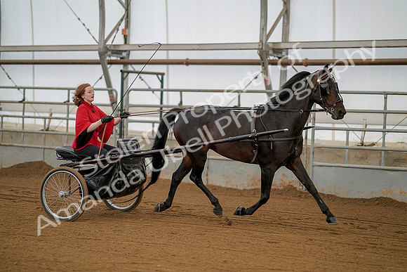 July 20, 2019 - 00234