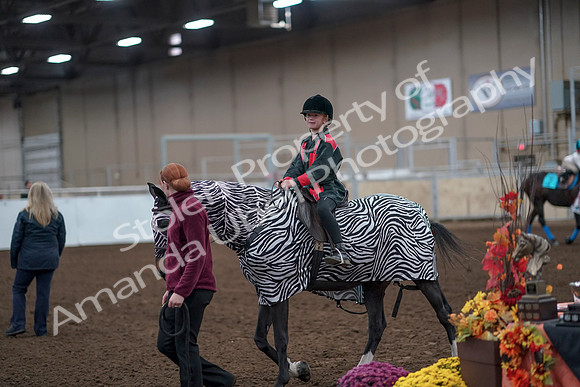 2019 Morgan Horse Show - Aug 31, 2019 - 10043