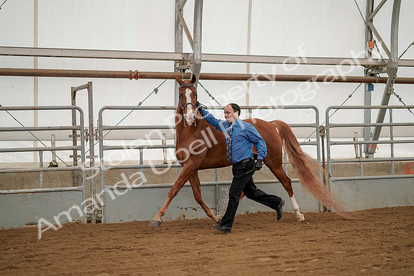 July 19, 2019 - 1373