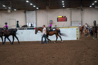 2019 Morgan Horse Show - Aug 31, 2019 - 18895