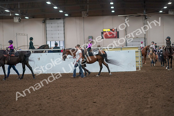 2019 Morgan Horse Show - Aug 31, 2019 - 18895