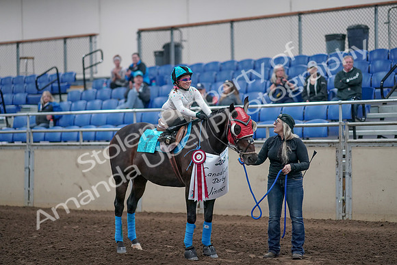 2019 Morgan Horse Show - Aug 31, 2019 - 10228