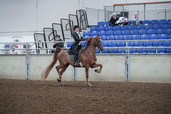 Spring Fling - Saturday - April 20, 2019  -  00555