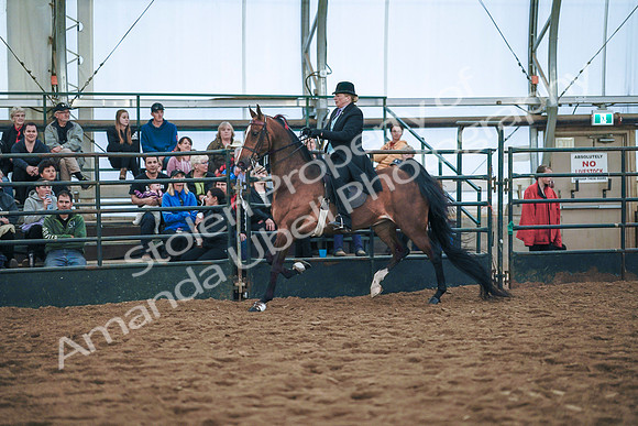 July 20, 2019 - 24164