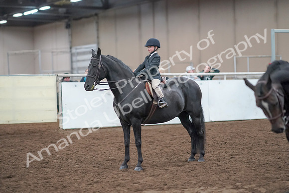 2019 Morgan Horse Show - Aug 31, 2019 - 19722