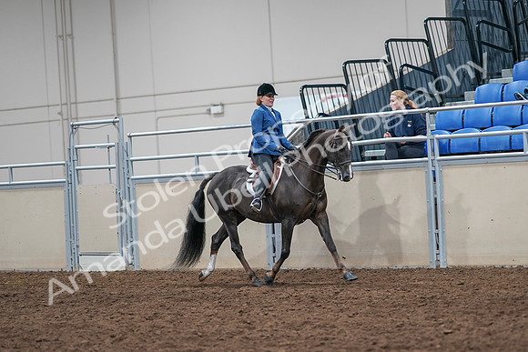 2020 - AB Morgan Horse - Sat, Sept 05 - 05071