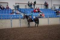 2019 Morgan Horse Show - Aug 31, 2019 - 16293