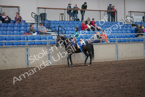 2019 Morgan Horse Show - Aug 31, 2019 - 16293
