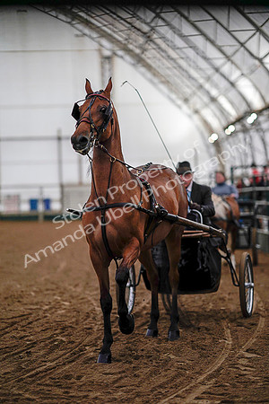 July 19, 2019 - 6751