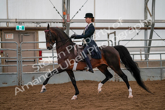 July 19, 2019 - 10408