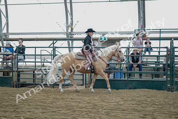 July 21, 2019 - 06830