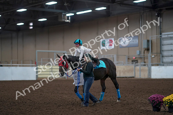 2019 Morgan Horse Show - Aug 31, 2019 - 10098