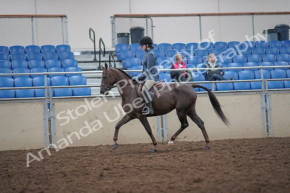 2019 Morgan Horse Show - Aug 31, 2019 - 16623