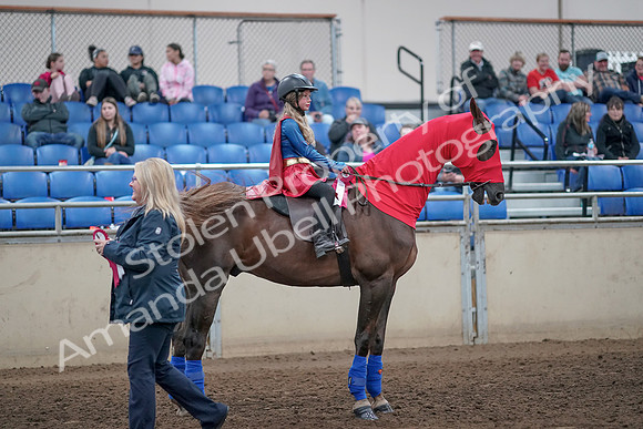 2019 Morgan Horse Show - Aug 31, 2019 - 10186