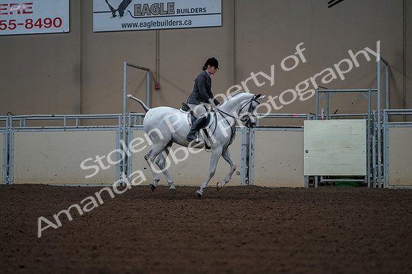 2019 Morgan Horse Show - Aug 30, 2019 - 17619