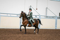 2020 - AB Morgan Horse - Fri, Sept 04 - 03289