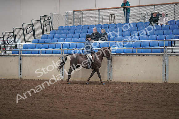 2019 Morgan Horse Show - Aug 31, 2019 - 07475