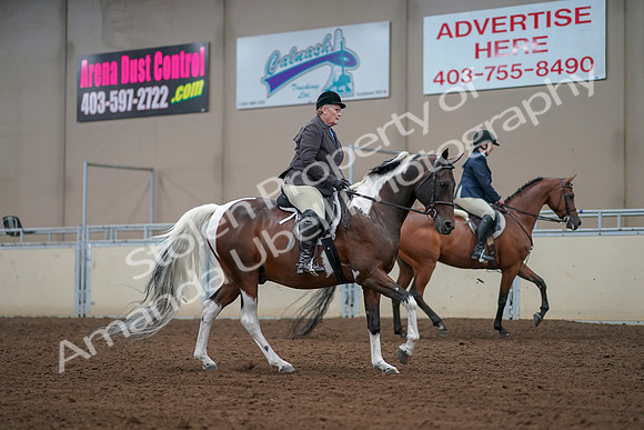 2019 Morgan Horse Show - Aug 30, 2019 - 16433