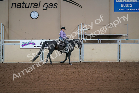 2019 Morgan Horse Show - Aug 30, 2019 - 16992