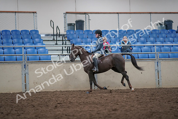 2019 Morgan Horse Show - Aug 31, 2019 - 16673