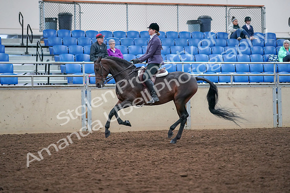 2019 Morgan Horse Show - Aug 30, 2019 - 20584