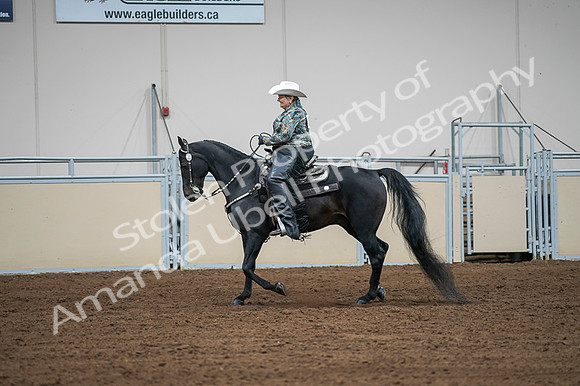 2020 - AB Morgan Horse - Fri, Sept 04 - 03614