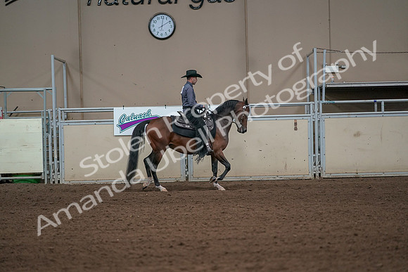 2019 Morgan Horse Show - Aug 31, 2019 - 06185