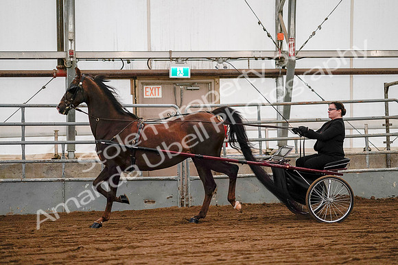 July 19, 2019 - 7044