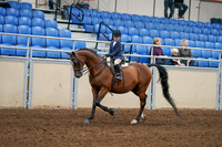 2020 - AB Morgan Horse - Fri, Sept 04 - 04481