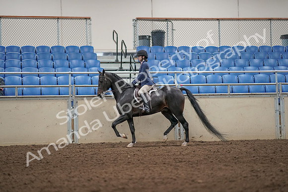 2019 Morgan Horse Show - Aug 31, 2019 - 04958
