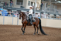 2020 - AB Morgan Horse - Fri, Sept 04 - 08244