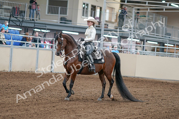 2020 - AB Morgan Horse - Fri, Sept 04 - 08244