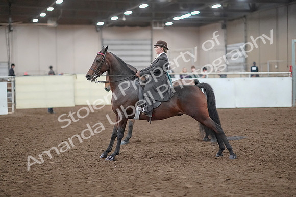 2019 Morgan Horse Show - Aug 30, 2019 - 28267