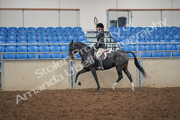2019 Morgan Horse Show - Aug 30, 2019 - 23294