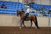 2020 - AB Morgan Horse - Sun, Sept 06 - 07469