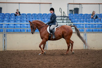 2019 Morgan Horse Show - Aug 30, 2019 - 16014