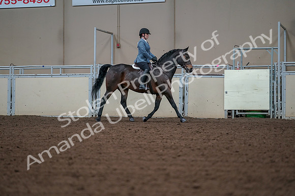 2019 Morgan Horse Show - Aug 30, 2019 - 18507