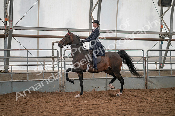 July 19, 2019 - 12902