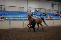 2019 Morgan Horse Show - Aug 31, 2019 - 00532