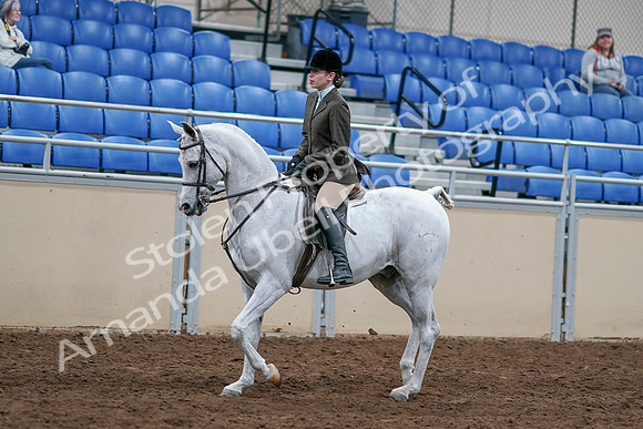 2020 - AB Morgan Horse - Sat, Sept 05 - 14240